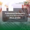 Professional Doctorate in Executive Management (Ph.D. of EBA)